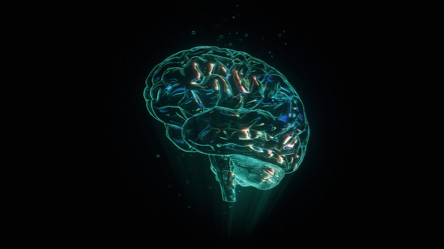 Brain