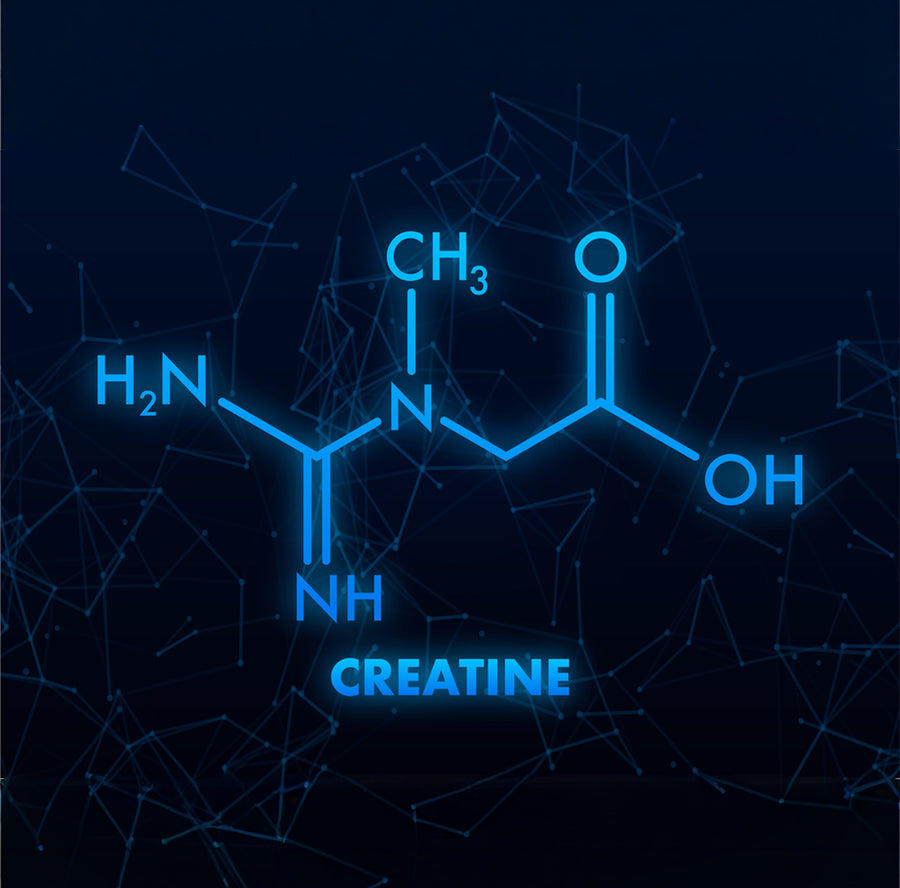 Creatine molecule
